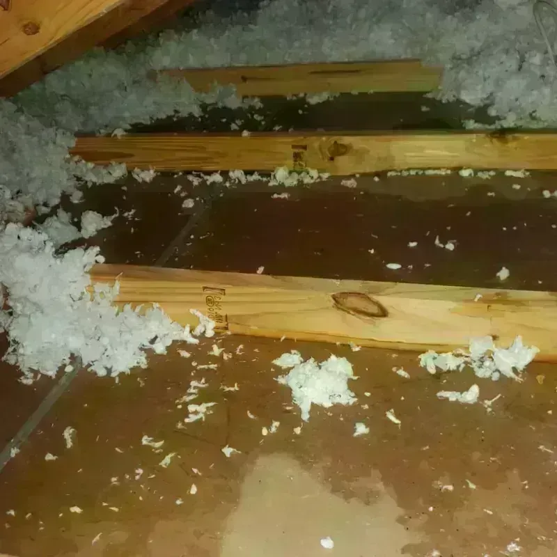 Attic Water Damage in Saluda, VA